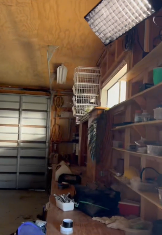 801d93456690bf4fdaabc293010394ec.png 801d93456690bf4fdaabc293010394ec.png